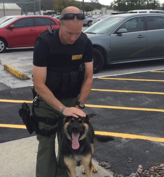 PHOTOS K9 Officers who protect and serve the Tampa Bay area